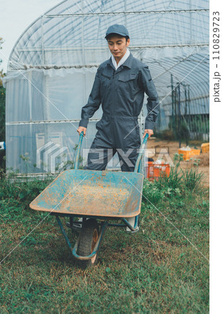 vegetable field 110829723