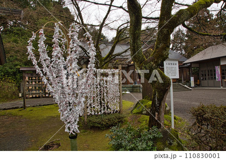 新年の足羽神社 新年の足羽神社 110830001