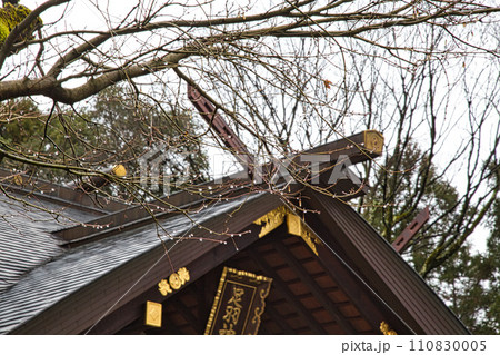 新年の足羽神社 新年の足羽神社 110830005