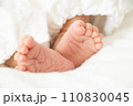 ベビーフォト 新生児 ベビーフォト 新生児 110830045