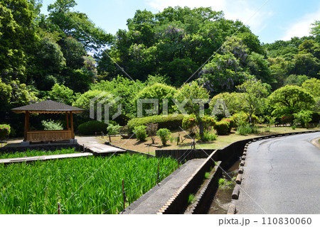 西山御殿（西山荘）　2023-5-3　＃8 110830060