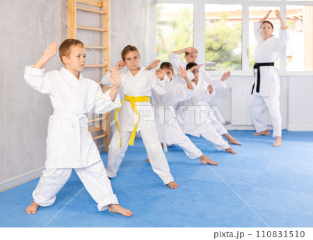 Kids during karate training. Martial arts. Active lifestyle concept 110831510
