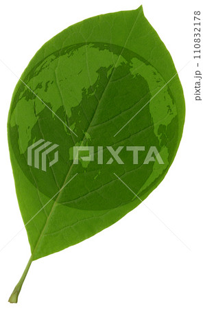 自転軸23.4度の傾き、葉っぱに描いた緑の世界地図 110832178