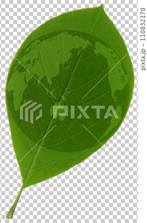 自転軸23.4度の傾き、葉っぱに描いた緑の世界地図 110832178