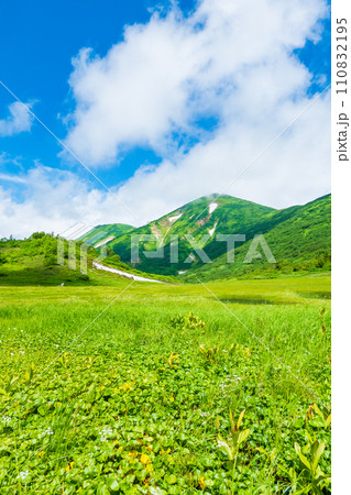 夏の火打山登山（天狗の庭と火打山） 110832195