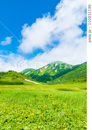 夏の火打山登山（天狗の庭と火打山） 110832196