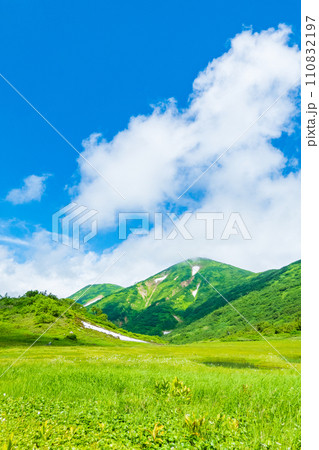 夏の火打山登山（天狗の庭と火打山） 110832197