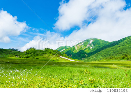 夏の火打山登山（天狗の庭と火打山） 110832198