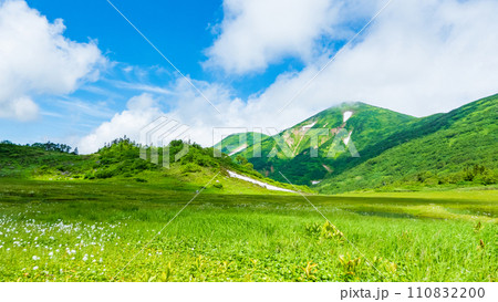 夏の火打山登山(天狗の庭と火打山) 夏の火打山登山(天狗の庭と火打山) 110832200