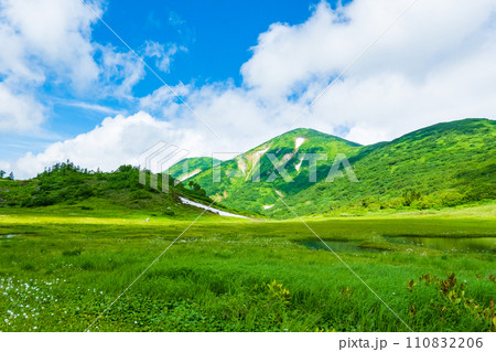 夏の火打山登山(天狗の庭と火打山) 夏の火打山登山(天狗の庭と火打山) 110832206