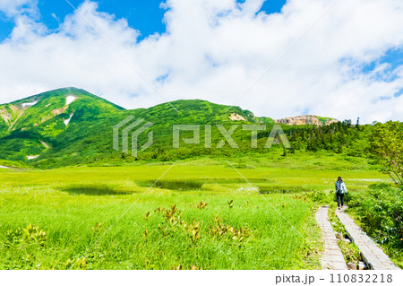夏の火打山登山（天狗の庭） 110832218