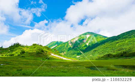 夏の火打山登山(天狗の庭と火打山) 夏の火打山登山(天狗の庭と火打山) 110832229