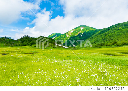 夏の火打山登山(天狗の庭:火打山とワタスゲの群落) 夏の火打山登山(天狗の庭:火打山とワタスゲの群落) 110832235