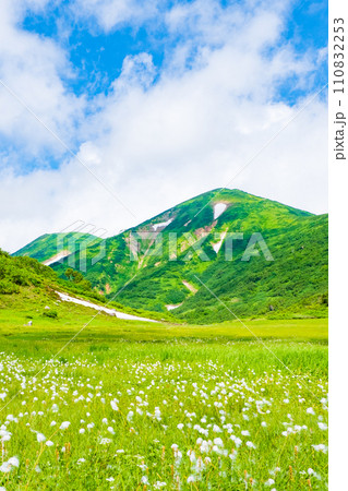 夏の火打山登山(天狗の庭:火打山とワタスゲの群落) 夏の火打山登山(天狗の庭:火打山とワタスゲの群落) 110832253