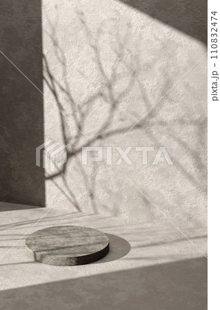 A background rich in shading that you can use in your designs. Textured walls and podium with sunlight shining through. 110832474