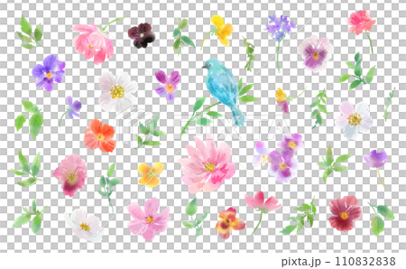 藍鳥和三色堇,向量插畫單套彩色開花背景 藍鳥和三色堇,向量插畫單套彩色開花背景 110832838