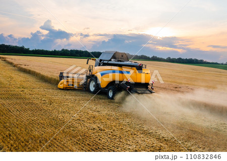 Straw reaper removes dry plant stems in farm field aerial view. Contemporary combine truck mows into windrows in agricultural meadow on summer day 110832846