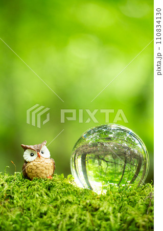 エコイメージ ガラスボールと自然 エコイメージ ガラスボールと自然 110834130