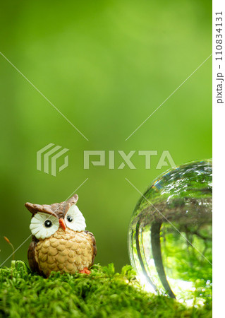 エコイメージ　ガラスボールと自然 110834131