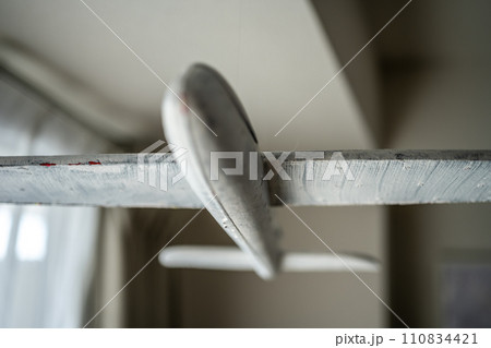 吊るされたグライダー 吊るされたグライダー 110834421