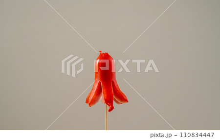 ウインナー ウインナー 110834447