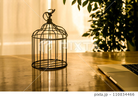 からっぽの鳥籠 110834466