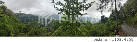 The road is in the middle of forests and mountains which are cloudy and cool 110834559
