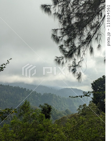 The road is in the middle of forests and mountains which are cloudy and cool 110834561