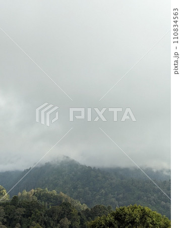 The road is in the middle of forests and mountains which are cloudy and cool 110834563