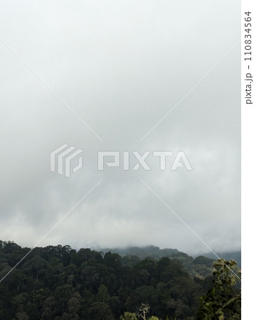 The road is in the middle of forests and mountains which are cloudy and cool 110834564