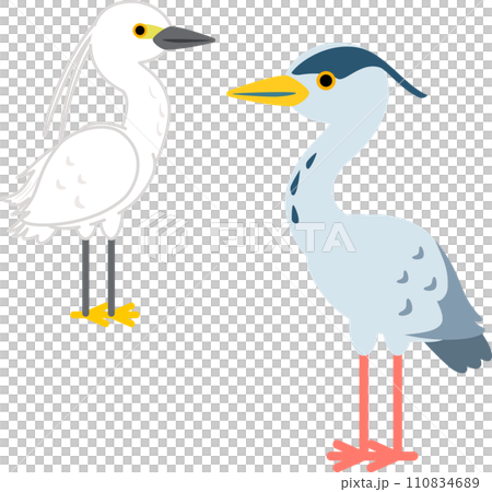 小白鷺鷥和灰鷺的變形圖 110834689