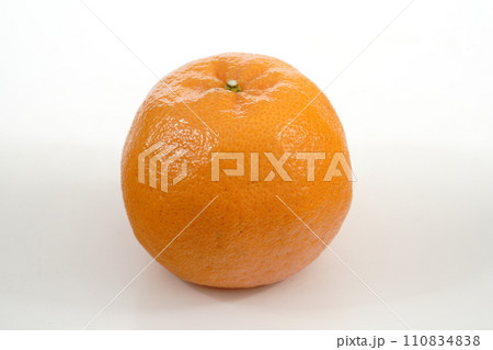 新鮮なオレンジ ポンカン 『仁』 三重県産 新鮮なオレンジ ポンカン 『仁』 三重県産 110834838