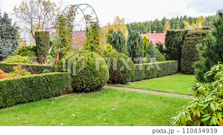 Landscaping of a garden with a green lawn, colorful decorative shrubs and shaped yew and boxwood, Buxus, in autumn. Gardening concept. 110834939