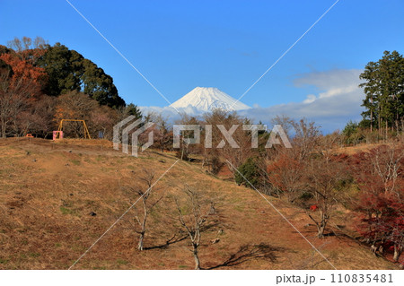 Scenes fromShuzenji Niji-no-sato, a resort park in Shuzenji on the Izu peninsula in Shizuoka prefecture in Japan 110835481