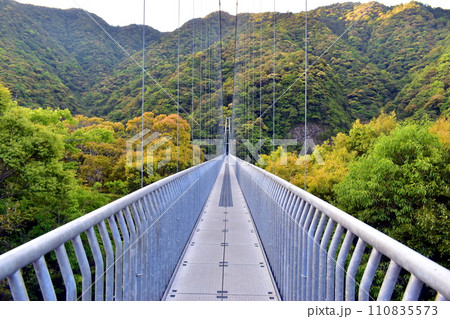 吊橋　大吊橋　綾の照葉大吊橋　宮崎 110835573