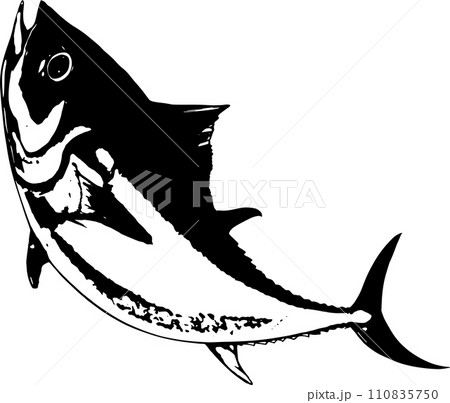 ジャンプするマグロの墨絵白黒線画シルエット ジャンプするマグロの墨絵白黒線画シルエット 110835750