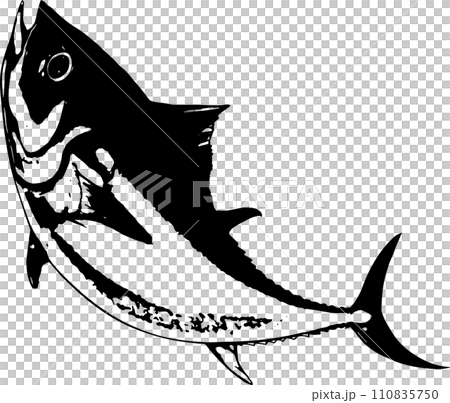 ジャンプするマグロの墨絵白黒線画シルエット ジャンプするマグロの墨絵白黒線画シルエット 110835750