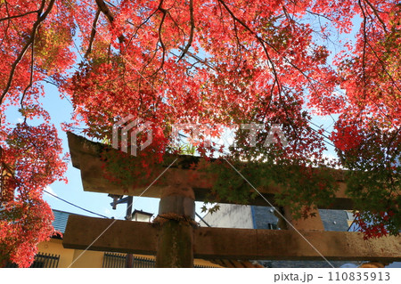 Hie Shrine, Hie Jinja, in Shuzenji onsen town on the Izu peninsula in Shizuoka Japan which is a national treasure 110835913