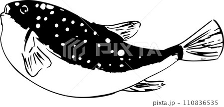 和風なフグの線画墨絵イラスト 110836535