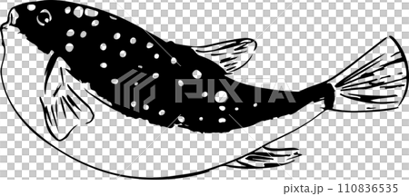 和風なフグの線画墨絵イラスト 110836535