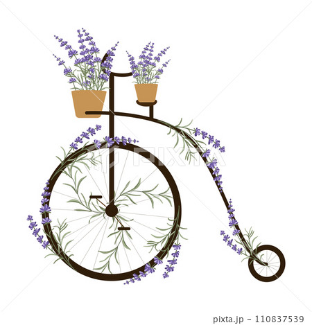 Vintage Penny Farthing bicycle with lavender flowers as decor. Thank you card. Vector illustration in flat style 110837539