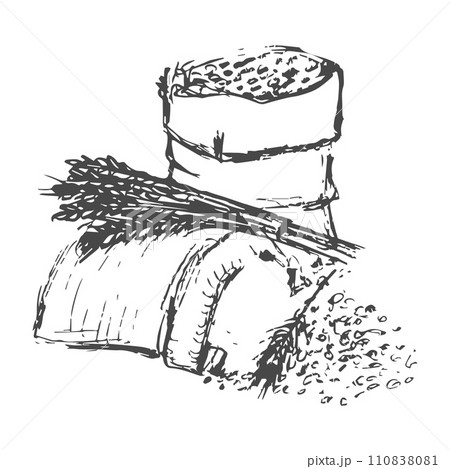 Vector illustration of a bag of grain and flour for baking bread, drawn by hand. doodle, sketch 110838081