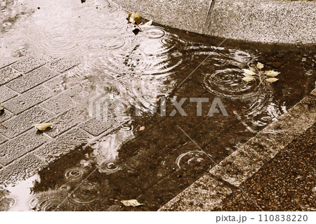 降りしきる雨が遊歩道の水たまりに波紋をつくる 降りしきる雨が遊歩道の水たまりに波紋をつくる 110838220