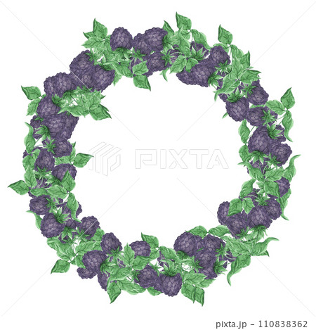Hand drawn watercolor blackberry with green leaves wreath border isolated on white background. Can be used for cards, label and other printed products. 110838362