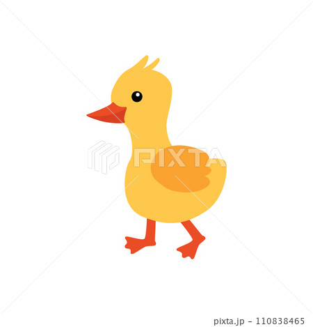 Cartoon vector illustration. Duckling is an animal and a family duckling. 110838465