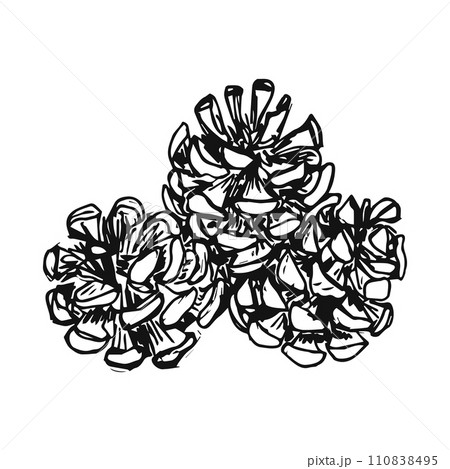 cones on a branch hand-drawn, Design elements for invitations, greeting cards, quotes, blogs 110838495