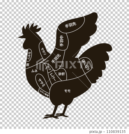 顯示雞輪廓和雞部位的圖表 顯示雞輪廓和雞部位的圖表 110839135