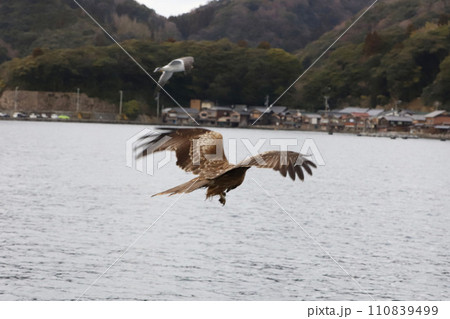 海の京都　伊根町　舟屋群 110839499