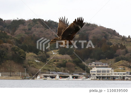 海の京都 伊根町 舟屋群 海の京都 伊根町 舟屋群 110839500