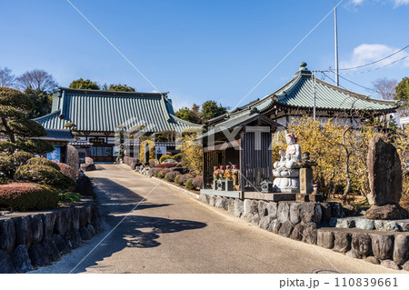 神奈川県秦野市　蝋梅がきれいな極楽寺 110839661